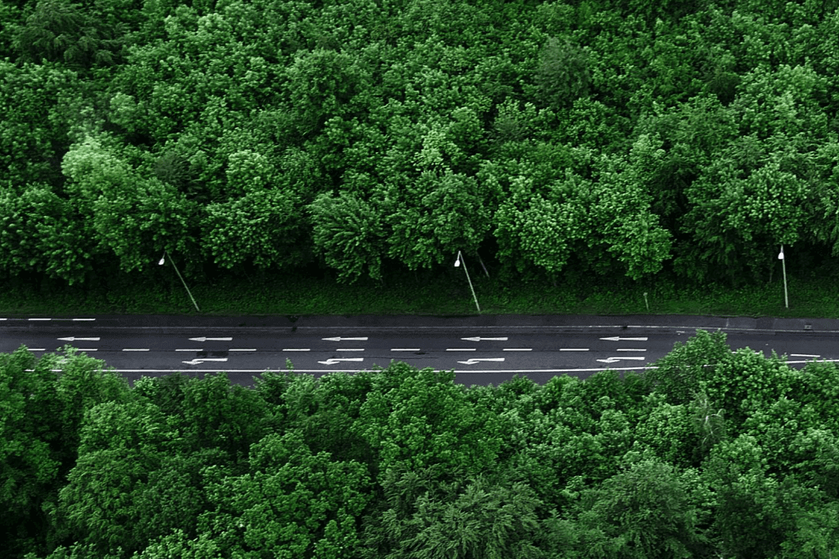 Social Responsibility