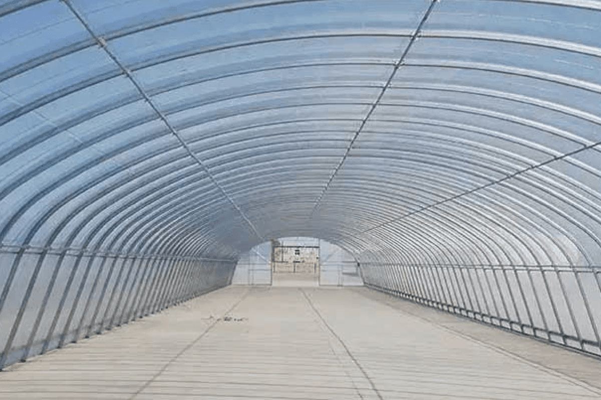 Galvanized Steel Pipe Used Greenhouse Structure from Steel Searcher